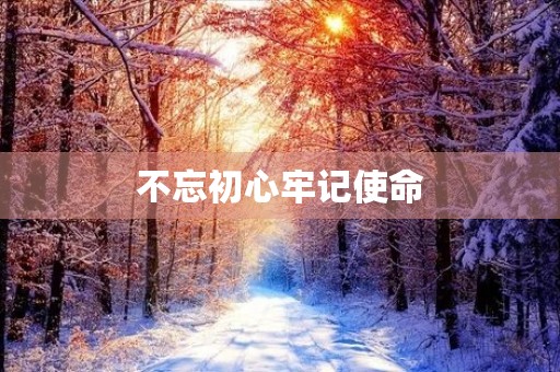 不忘初心牢记使命,组织生活发言提纲 不忘初心牢记使命,组织生活发言提纲