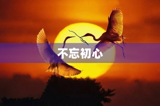 不忘初心,牢记使命——我的心得体会
