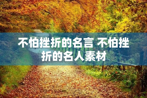 不怕挫折的名言 不怕挫折的名人素材 不怕挫折的名言 不怕挫折的名人素材