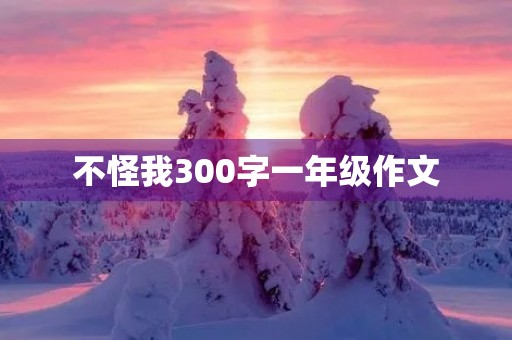 不怪我300字一年级作文