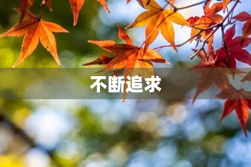 不断追求，不断超越——中考优秀满分作文600字范文