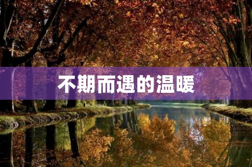 不期而遇的温暖 不期而遇的温暖