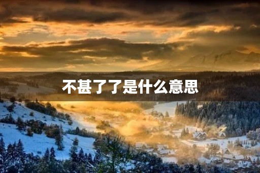 不甚了了是什么意思 不甚了了是什么意思