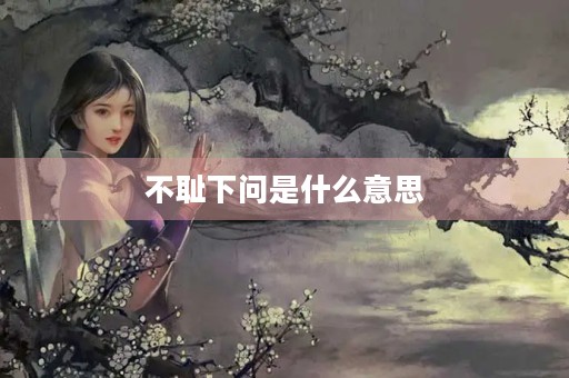 不耻下问是什么意思 不耻下问是什么意思
