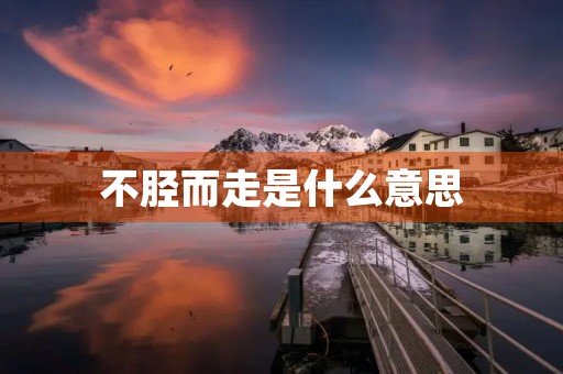 不胫而走是什么意思 不胫而走是什么意思