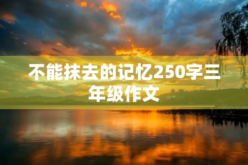 不能抹去的记忆250字三年级作文