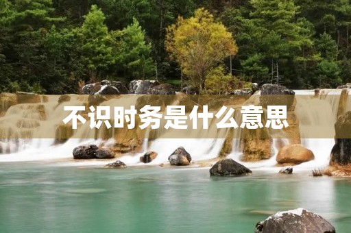 不识时务是什么意思
