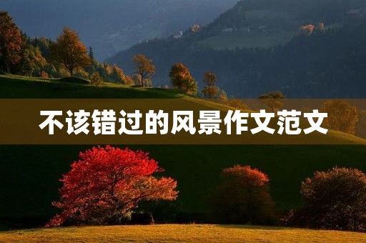 不该错过的风景作文范文 不该错过的风景作文范文