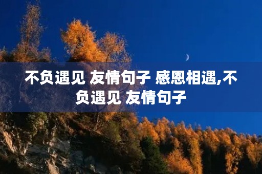 不负遇见 友情句子 感恩相遇,不负遇见 友情句子 不负遇见 友情句子 感恩相遇,不负遇见 友情句子