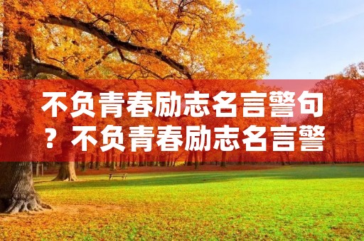 不负青春励志名言警句?不负青春励志名言警句有哪些 不负青春励志名言警句?不负青春励志名言警句有哪些