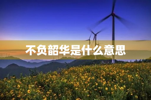 不负韶华是什么意思 不负韶华是什么意思
