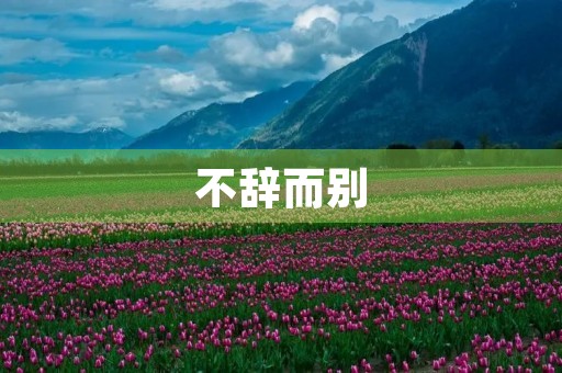 不辞而别 不辞而别