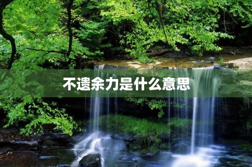 不遗余力是什么意思
