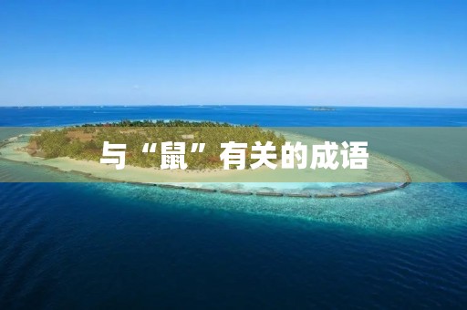 与“鼠”有关的成语
