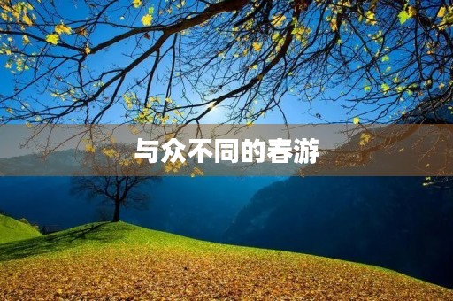 与众不同的春游