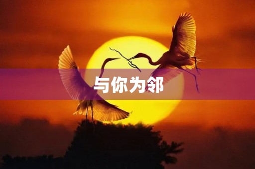与你为邻,共建美好社区 与你为邻,共建美好社区