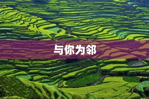 与你为邻