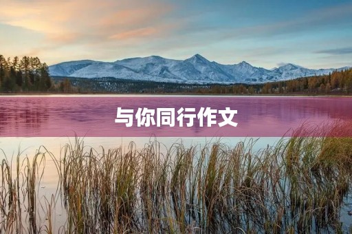与你同行作文