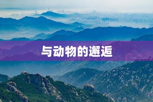 与动物的邂逅 与动物的邂逅