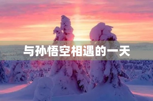 与孙悟空相遇的一天 与孙悟空相遇的一天