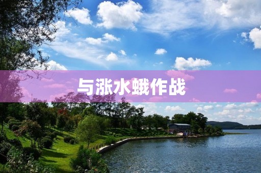 与涨水蛾作战 与涨水蛾作战