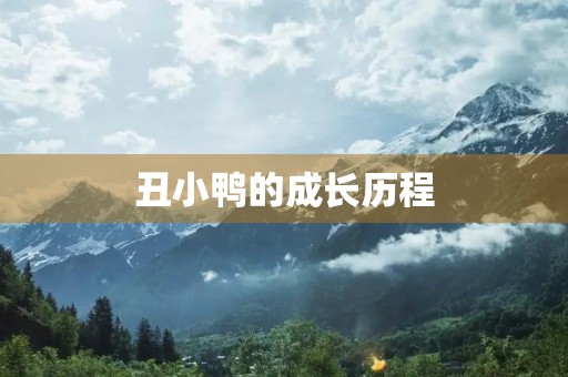 丑小鸭的成长历程 丑小鸭的成长历程