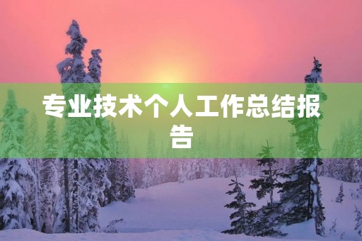 专业技术个人工作总结报告 专业技术个人工作总结报告