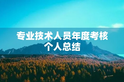 专业技术人员年度考核个人总结