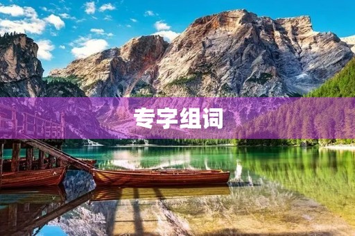 专字组词(专组词)