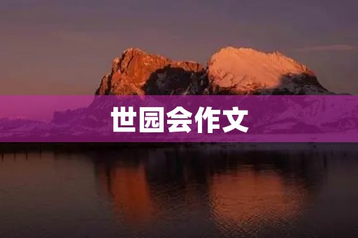 世园会作文