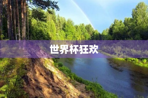 世界杯狂欢，足球**