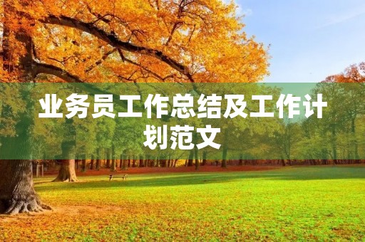 业务员工作总结及工作计划范文
