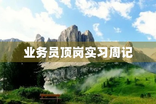 业务员顶岗实习周记 业务员顶岗实习周记