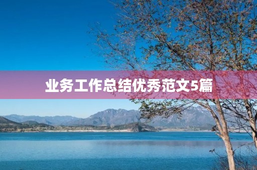 业务工作总结优秀范文5篇