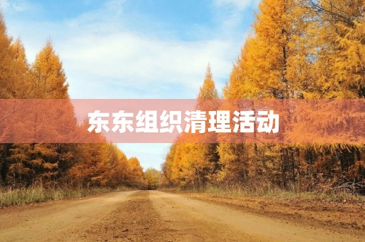 东东组织清理活动