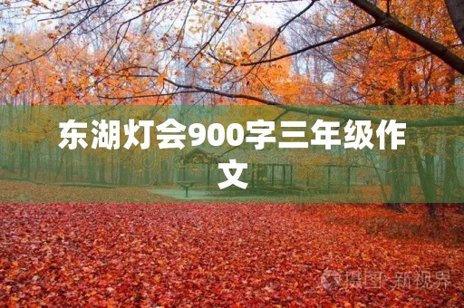 东湖灯会900字三年级作文 东湖灯会900字三年级作文