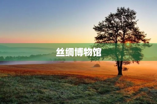丝绸博物馆 丝绸博物馆