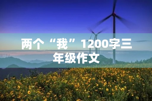 两个“我”1200字三年级作文