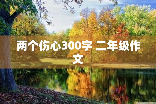 两个伤心300字 二年级作文