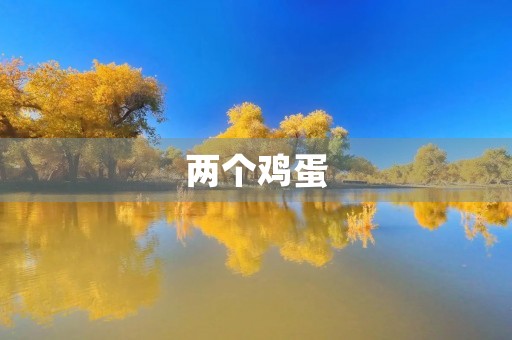 两个鸡蛋