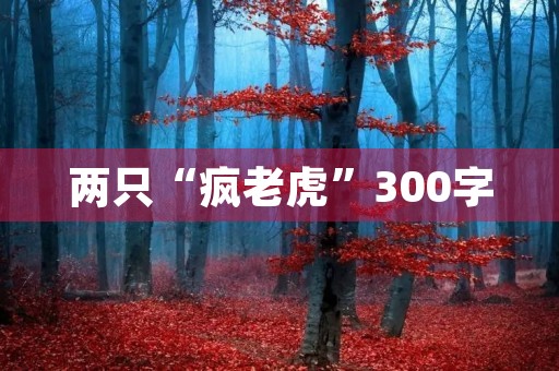 两只“疯老虎”300字 两只“疯老虎”300字