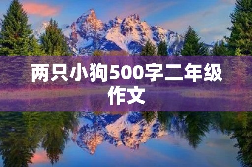 两只小狗500字二年级作文