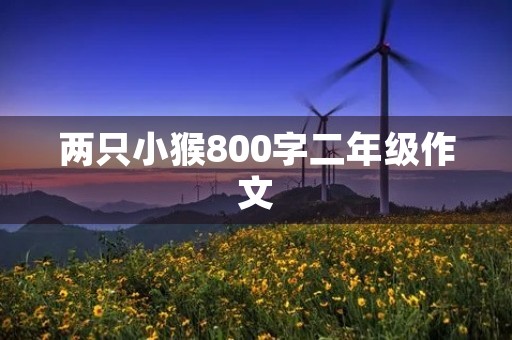 两只小猴800字二年级作文