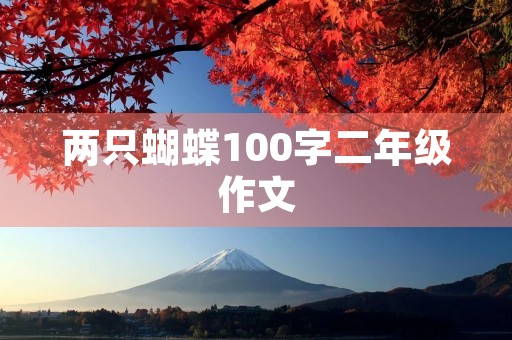 两只蝴蝶100字二年级作文