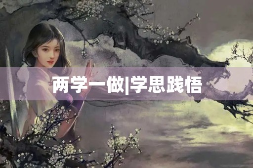 两学一做|学思践悟，做实践担当