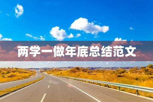 两学一做年底总结范文