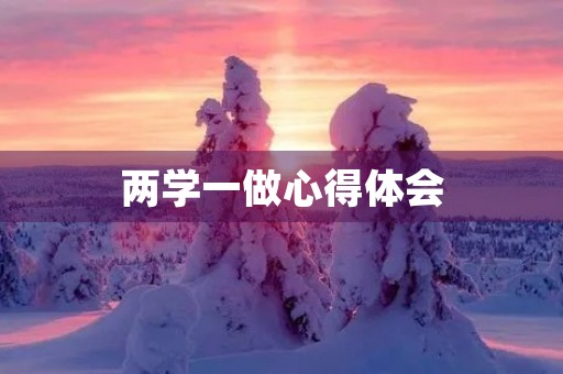 两学一做心得体会