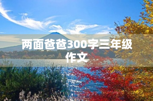 两面爸爸300字三年级作文