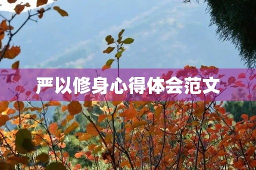 严以修身心得体会范文