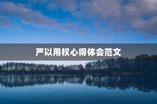 严以用权心得体会范文